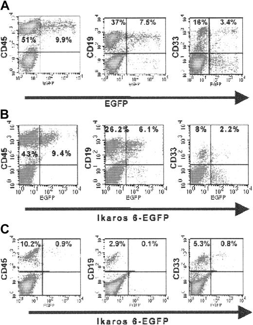 Fig. 6. Flow cytometry analyses of human hematopoietic cells engrafted in NOD-SCID mice. / Six weeks after injection in a control animal injected with CD34+ cells transduced with the LZRS-EGFP retroviral vector (A), CD19+ cells are more abundant than CD33+cells and both populations express significant levels of the EGFP marker. The same pattern is observed in one of the test animals injected with the LZRS-Ik6-EGFP retroviral vector (B). In another test animal injected with CD34+ cells transduced with the LZRS-Ik6-EGFP retroviral vector (C), a different pattern is seen. A small percentage of cells expressing CD19 can be identified; only rare CD19+ cells express EGFP, in contrast with CD33+ cells recovered from the same animal. Similar numbers of events were acquired during flow cytometry analysis for all lines. For detailed analyses, see Table 2.