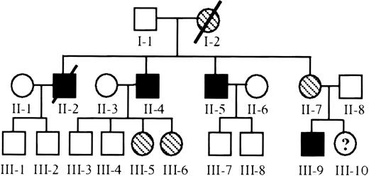 Fig. 1. Pedigree of X-linked thrombocytopenia. / The family under investigation is depicted with thrombocytopenic members represented by solid figures, asymptomatic carriers represented by cross-hatching, and healthy members represented by open figures. The numbers below each serve as unique identifiers throughout this manuscript (Roman numerals identify the generation, and Arabic numerals were arbitrarily assigned).