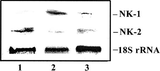 Fig. 3. NK-1 and NK-2 mRNA in BM stroma stimulated with 10 ng/mL SCF and/or 10 nM SP(1-4). / Stroma was stimulated with SCF; at 16 hours, cultures were terminated or washed and then restimulated with SP(1-4) for 16 hours. Total RNA from each culture was studied for NK-1 and NK-2 mRNA by Northern analyses. Lane 1, media alone; lane 2, SCF; lane 3, SCF-SP(1-4).