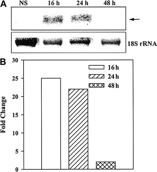 Fig. 4. Induction of NEP in BM stroma stimulated with SCF. / A representative blot from 3 healthy donors is shown. (A) Northern analyses determined steady-state levels of mRNA for NEP at different times after stimulation of BM stroma with 10 ng/mL SCF. (B) Arrow represents NEP mRNA and lower row represents 18S rRNA. NEP levels were normalized with 18 sRNA and represented as the fold change over unstimulated stroma.