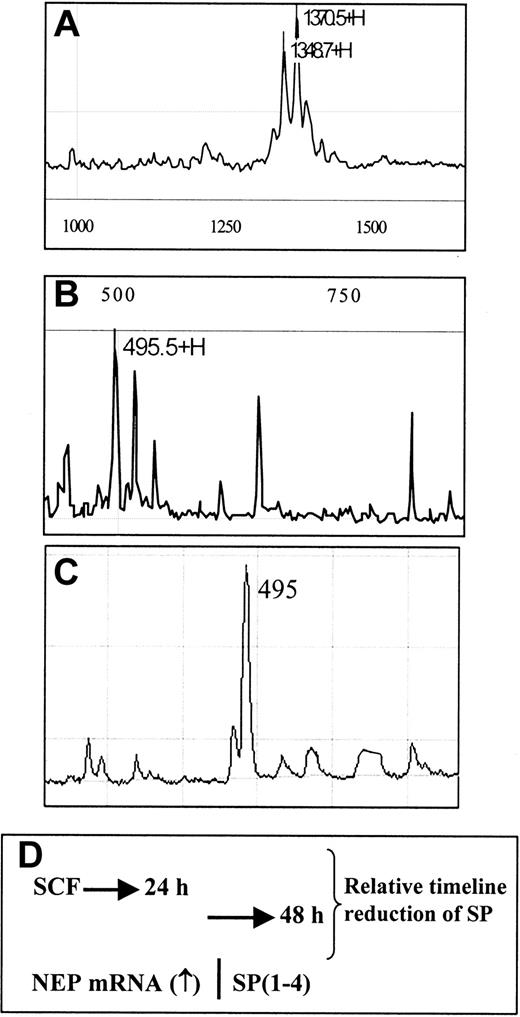 Fig. 5. Chromatogram for SP profiling studies. / Standard chromatogram for profiling studies for SP (panel A) or SP(1-4) (panel B) and for affinity detection of SP(1-4) (panel C). A scheme showing optimal level of SP at 24 hours, which was reduced at 48 hours. Between 16 and 24 hours, NEP mRNA is induced, which is followed by the appearance of SP(1-4) at 48 hours (panel D).