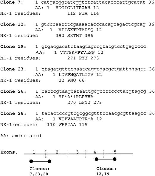 Fig. 6. Selected clones from a random dodecapeptide library, screened with SP(1-4). / Shown are the amino acid residues of the DNA sequence for each clone. Bold and underlined residues indicate regions that align with NK-1 (top). Alignment of the combined amino acid sequences from the peptide library with NK-1, Accession No. m76675 (bottom).