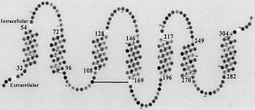 Fig. 7. Spatial assignment of NK-1 residues. / 27 Segments of amino acid residues representing the TM regions of NK-1 and the related intracellular and extracellular areas are shown in the 2-dimensional diagram.