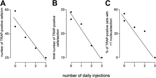 Fig. 5. Flt3-Fc administration to op/op mice reduces the number or osteoclasts and the number of nuclei per osteoclast section in vivo. / Flt3-Fc (5 μg) or vehicle was injected daily. On the first day, 2 animals were given vehicle, and the other 3 were injected with Flt3-Fc. On the second day, 2 of the latter were given Flt3-Fc; and one of these was also given a third dose on the third day. Animals were killed 24 hours after the last injection. The number of TRAP-positive cells per centimeter (A) correlates inversely (r = 0.94;P = .016) with the duration of injections, as does the number of TRAP cells per section (B) (r = 0.98;P = .003) and the proportion of such cells showing more than one nucleus per cell (C) (r = 0.937;P = .019).