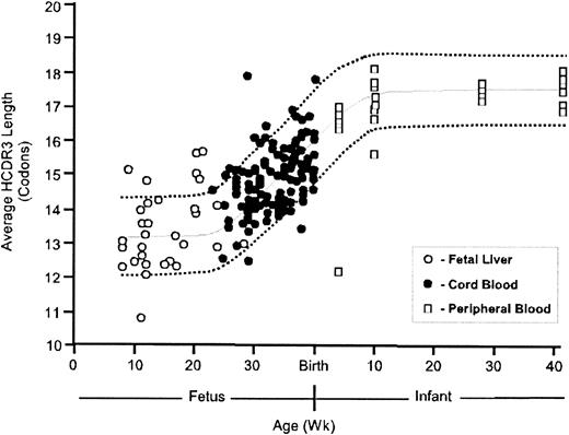 Fig. 5. A 5-month transition in the distribution of HCDR3 lengths. / Shown are mean HCDR3 lengths in VDJCμ transcripts from 34 individual fetal liver samples ranging in age from 8 to 28 weeks' gestation, open circles11; 138 individual samples of cord blood from premature and term individuals, closed circles (this study); and 32 individual samples of peripheral blood from infants ranging in age from 2 weeks to 6 months of age, open squares.11 For this cross-sectional study, the solid line represents the best linear fit and the dotted lines denote 5% and 95% confidence limits for the distribution of lengths over time (from Shiokawa et al11and Figure 1 above).