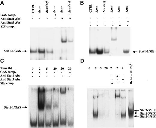 Fig. 4. Nef-dependent activated STAT1 forms homodimers and binds specific DNA-responsive elements. / (A) EMSA performed by using total cell extracts from MDMs 8 hours after the infection with either Δenv or Δenv/nef(VSV-G) pseudotyped HIV-1 (A,B) or after treatment with 100 ng/mL rNef for the indicated times (C,D), and the 32P-labeled GAS element of the human IRF-1 promoter (A-C), or the 32P- labeled SIE element of the human c-fos promoter (B-D) as a probe. As controls, GAS (A-C) or SIE competitors (B-D) were used. Supershifts were performed with anti-STAT1 antibodies, and also with anti-STAT3 antibodies (B-D). As an additional control, SIE-specific EMSA was also performed on total extracts of HeLa cells treated with 100 IU/mL IFN-β (D). Electrophoretic mobility is indicated on the left side for STAT1-1/GAS complexes and on the right side for STAT1-1, 1-3, and 3-3/SIE complexes.