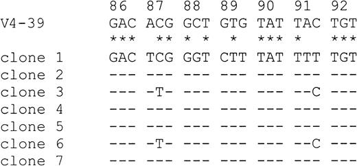 Fig. 3. Evidence for ongoing mutation in MedB-1 cells. / Seven PCR clones amplified from MedB-1 cells were aligned and compared with the most homologous germline IgVH sequence V4-39 from codons 86 through 92. Sequence homologies between V4-39 and the consensus sequence of the PCR clones are highlighted by asterisks. Dashes designate identities among PCR clones. Clones 3 and 6 show deviations from the consensus sequence in codons 87 and 91, suggesting ongoing somatic mutation.