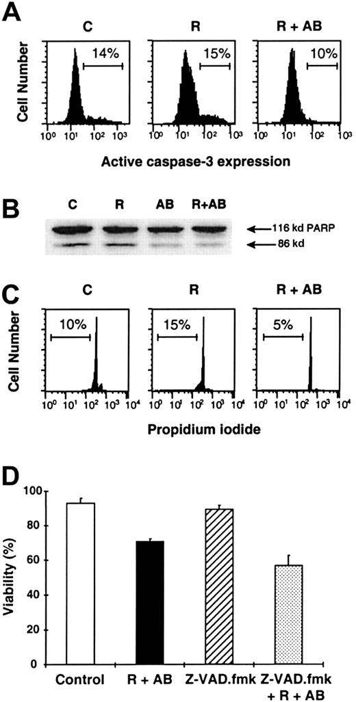 Fig. 4. Complement-mediated R-CDC is not mediated by caspase activation. / Cells of a representative CD20++ patient with B-CLL were incubated in medium alone (C), or with 50 μg/mL rituximab in the absence (R) or presence (R+AB) of 10% AB serum. (A) Analysis by flow cytometry of the active form of caspase-3 after 24 hours of incubation. (B) Analysis of PARP cleavage by Western blot after 48 hours of incubation. (C) Analysis of DNA content by staining with propidium iodide after 48 hours of incubation. (D) Effect of 200 μM Z-VAD.fmk on cell viability after 24 hours of incubation. Z-VAD.fmk was preincubated for 1 hour prior to the addition of the indicated factors. Cell viability was quantified by exposure of phosphatidylserine residues.