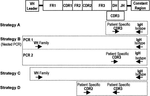 Fig. 1. RT-PCR strategies used in the detection of clonotypic IgH transcripts. / At the top of the figure is a schematic diagram of the structure of the immunoglobulin heavy chain gene, including the Vh leader, complementarity determining regions (CDRs), and constant chains (μ, δ, γ, α, and ε). Primers specific to unique CDR2 and CDR3 sequences in the MM clone were generated. All strategies were performed using cDNA derived from patient or mouse samples. Strategy A involved 35 cycles of PCR with CDR3 and constant chain (μ, δ, γ, and α) primers. Strategy B involved 35 cycles of PCR with primers to Vh leader and a given constant chain, followed by reamplification with 25 cycles of PCR using patient-specific CDR3 and nested constant chain primers. Strategy C involved 35 cycles of PCR with primers to the Vh leader and a constant chain to amplify only the relevant isotype in each reaction, independent of its VDJ rearrangement. All samples were also subjected to a single-stage RT-PCR using patient-specific CDR2/CDR3 primers (strategy D).