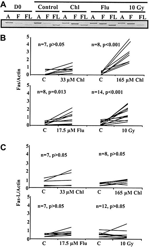 Fig. 1. Semiquantitative RT-PCR analysis of B-CLL transcripts. / (A) Analysis of actin (A), Fas (F), or Fas-L (FL) transcripts in B-CLL cells at day 0 (D0) or after 24-hour incubation with medium alone (control), 165 μM chlorambucil (Chl), 17.5 μM fludarabine (Flu), or 24 hours after irradiation (10 Gy). (B, C) Intensities of Fas, Fas-L, and actin PCR bands from multiple B-CLL samples were quantified. Fas/Actin and Fas-L/Actin ratios after treatment were compared to 24-hour controls and are presented in panels B and C, respectively.