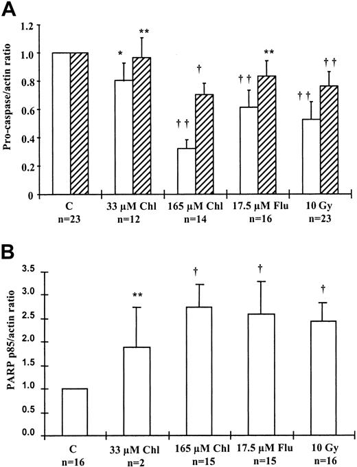 Fig. 8. Caspase processing in B-CLL cells. / (A) Processing of procaspase 8 (open bars) and procaspase 3 (hatched bars) in B-CLL samples after 24-hour treatment, estimated by Western blotting. Procaspase band intensities were normalized to actin, and the ratio was set to 1.0 for the control for each sample. (B) Processing of PARP to its p85 fragment in B-CLL samples after 24-hour treatment. p85 PARP was compared with actin levels, and the ratio was set to 1.0 for the control in each sample. Student t test was carried out using procaspase-actin or p85 PARP–actin ratios (*P = .05; **P > .05; †.01 <P < .05; ††P < .01).
