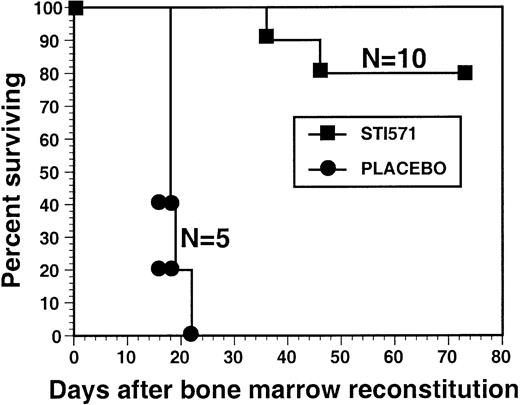 Fig. 2. STI571 prolongs the survival of mice in a murine model of CML. / Lethally irradiated mice were reconstituted with syngeneic BM cells transduced with a replication-defective P210BCR/ABL retrovirus and were then randomized to posttransplantation treatment with either STI571 or placebo. The survival curve depicts the percentage of animals alive at the indicated time point after BM reconstitution (day 0). The number of mice in each arm (N) is also shown.