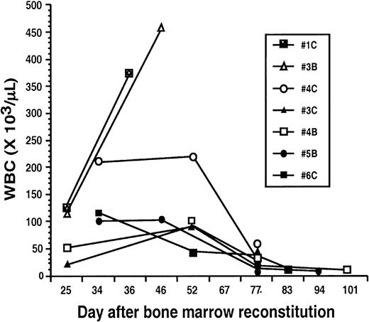Fig. 3. Mice afflicted with the CML-like illness demonstrate a heterogeneous hematologic response to STI571. / Animals reconstituted with BM cells transduced with a replication-defective P210BCR/ABL retrovirus were started on treatment with STI571 beginning on day 10 after BM reconstitution. Serial peripheral blood counts were obtained at the indicated days. For comparison, blood counts from mice no. 1C and no. 3B, which failed to respond to STI571 and ultimately died from the CML-like illness, are shown at left.