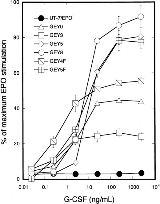 Fig. 4. Growth curve of the transfectant cells expressing chimeric receptors in response to G-CSF. / Parental UT-7/EPO cells or the transfectants expressing GEY0, GEY3, GEY5, GEY8, GEY4F, or GEY5F were cultured with various concentrations of G-CSF (0.25 to 2500 ng/mL) or EPO (10 U/mL). MTT reduction assay was performed after 3 days of culture. The values represent the mean ± SD from triplicate cultures and are expressed as a percentage of maximal response to EPO.