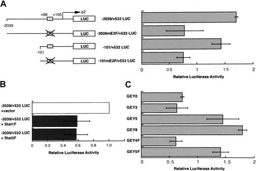 Fig. 9. Activation of Stat1 and Stat3 is required for the. / c-myc gene activation. (A) EPO-induced activation of c-myc promoter via the putative binding site of Stat1 and Stat3. Luciferase reporter constructs containing human c-mycgene promoter and internal control reporter plasmid pRL-TK vector were introduced into UT-7/EPO cells. The cells were starved for 12 hours and then transfected with the reporter constructs. After an additional 12 hours of incubation, the cells were treated with or without EPO (10 U/mL). Finally, 6 hours later, the cells were harvested for dual luciferase assay. The results for EPO-exposed cells are expressed as a fold-induction of the luciferase activity of the same construct in the control condition (without EPO). The values represent the mean ± SD from triplicate experiments. The box indicates the putative binding site of Stat1 and Stat3. (B) The effects of dominant-negative Stat1 and Stat3 on EPO-induced activation of c-myc promoter. Thec-myc reporter constructs −2039/+532 myc were introduced into the UT-7/EPO cells with expression vector pCAGGS-neo or pCAGGS-Stat1F bearing cDNA encoding dominant-negative Stat1, or with pCAGGS-Stat3F bearing the cDNA encoding dominant-negative Stat3. After transfection, the cells were cultured with EPO for 6 hours and then harvested for luciferase assay. The results are expressed as a fold-induction of the luciferase activity of the combination of −2039/+532 myc and pCAGGS vector. The values represent the mean ± SD from triplicate experiments. (C) G-CSF–induced activation ofc-myc promoter in UT-7/EPO cells expressing the chimeric receptor. The transfectant cells were starved for 12 hours and then introduced with the −2039/+532 myc reporter constructs. After an additional 12 hours of incubation, the cells were treated with or without G-CSF (250 ng/mL) for 6 hours and then harvested for luciferase assay. The results for G-CSF–exposed cells are expressed as a fold-induction of the luciferase activity of the same construct in the control condition (without G-CSF). The values represent the mean ± SD from triplicate experiments.