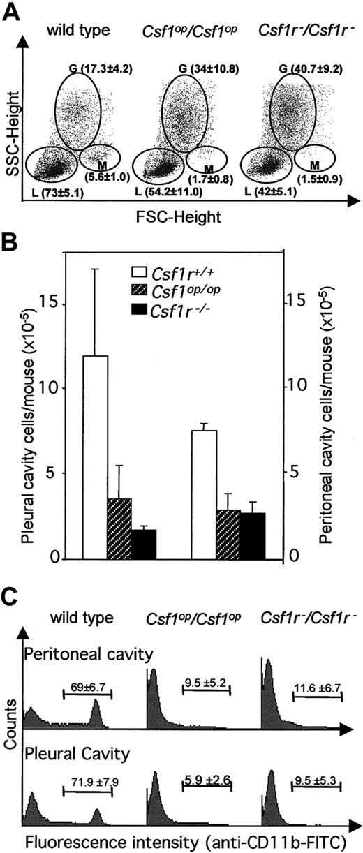 Fig. 4. FACS analysis of blood leukocytes, peritoneal cavity, and pleural cavity cells. / (A) Typical FACS analyses of monocytes, granulocytes, and lymphocytes by forward and side light scatter. Separate regions encompassing the monocyte (M), granulocyte (G), and lymphocyte (L) subpopulations are indicated. The means of results of such analyses for 3 mice of each genotype are shown in brackets (± SD). (B) Total pleural cavity and peritoneal cavity cells (n = 3). (C) Typical FACS analyses of CD11b+ peritoneal and pleural cavity cells. Percentage of positive cells for 3 mice of each genotype (± SD) is shown within each FACS distribution. FITC indicates fluorescein isothiocyanate; FSC, forward scatter; SSC, side scatter.