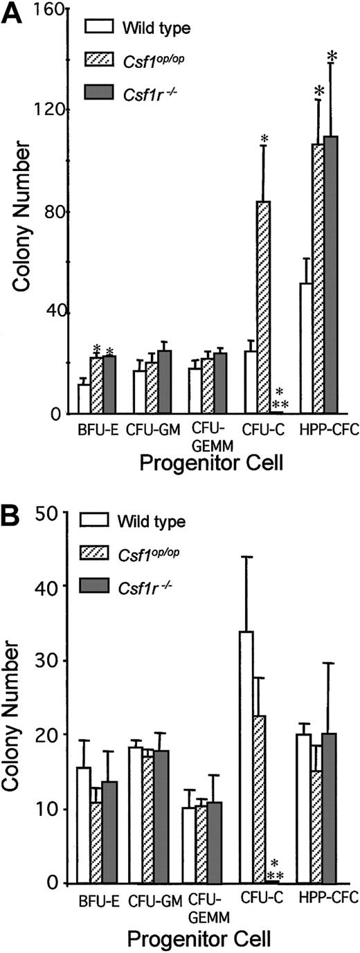 Fig. 6. Hematopoietic progenitor cell concentrations in the spleen and bone marrow of 6-week-old mice. / (A) Splenic progenitor cell colony numbers per 105 cells (BFU-E, CFU-GM, CFU-GEMM, CFU-C) or per 104 cells (HPP-CFC). (B) Bone marrow progenitor cell colony numbers per 104 cells (BFU-E, CFU-GM, CFU-GEMM, CFU-C) or per 103 cells (HPP-CFC). Means ± SD (3 mice per genotype). *Significantly different from wild type; **Significantly different from wild type andCsf1op/Csf1op(P ≤ .01).