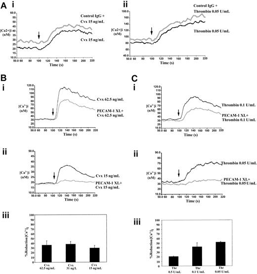 Fig. 5. PECAM-1 cross-linking inhibits the mobilization of calcium from intracellular stores. / Fura-2 am–loaded human platelets were stimulated with either Cvx or thrombin, and the mobilization of calcium was measured fluorometrically as described in “Materials and methods” (arrow indicates the addition of agonist). (A) Treatment of platelets with control IgG and cross-linker F(ab′)2 has no effect on Cvx- and thrombin-stimulated calcium mobilization. (B) (i, ii) Representative calcium responses for stimulation with Cvx at 62.5 ng/mL and 15 ng/mL, respectively, with and without first cross-linking PECAM-1. Traces are representative of 3 separate experiments. (iii) PECAM-1–induced percentage reduction in peak levels of intracellular calcium stimulated by 62.5, 31.25, and 15 ng/mL Cvx. Data represent mean ± SE (n = 3). C (i, ii) Representative calcium responses for stimulation with thrombin at 0.1 U/mL and 0.05 U/mL, respectively, with and without first cross-linking PECAM-1. Traces are representative of 3 separate experiments. (iii) PECAM-1–induced percentage reduction in peak levels of intracellular calcium stimulated by 0.5, 0.1, and 0.05 U/mL thrombin. Data represent mean ± SE (n = 3). PECAM-1 XL, PECAM-1 cross-linking.