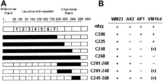 Fig. 1. Binding of monoclonal antibodies to canine–human chimeras of GPIbα. / (A) Canine–human chimeras of GPIbα, where residue numbers correspond to amino acid sequences of human12 and canine13GPIbα. Canine sequence is represented in black. Chimeras C200 and C268 have been reported previously.11 (B) Binding of anti-GPIbα monoclonal antibodies to CHO cells expressing wild-type GPIbα or the chimeras indicated, as assessed by flow cytometry. −, no binding; (+) approximately 50% maximal binding; +, maximal binding.