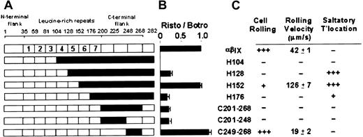 Fig. 3. Functional analysis of human–canine and canine–human chimeras of GPIbα. / (A) Human–canine and canine–human chimeras of GPIbα, where residue numbers correspond to amino acid sequences of human12 and canine13 GPIbα. Canine sequence is represented in black. Chimeras H104, H128, H152, and H176 have been described previously.11 (B) Ristocetin-dependent vWF binding to GPIbα chimeras. Specific binding of 125I-labeled vWF (1 μg/mL) in the presence of ristocetin (1 mg/mL) to CHO βIX cells (5 × 106/mL) co-expressing wild-type human GPIbα, canine GPIbα, or canine–human chimeras of GPIbα for 30 minutes at 22°C. Binding is expressed relative to specific binding of125I-labeled vWF to each cell line in the presence of botrocetin (2.5 μg/mL) in parallel assays.11 Specific binding was calculated from total binding by subtracting nonspecific binding measured in the absence of modulator in parallel assays. Error bars, ± SEM (n = 3). (C) Adhesion of GPIbα chimera-expressing CHO cells to vWF under flow. Grades are defined as follows: +, 1% to 10% of cells; ++, 11% to 79% of cells; +++, more than 80% of cells. (Rolling velocities are ± SEM.)