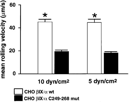 Fig. 5. Binding of chimera-expressing CHO cells to vWF under flow. / Binding of CHO βIX cells expressing wild-type GPIbα or CHO βIX cells expressing the C249-268 chimera of GPIbα. Mean rolling velocity was derived from images snapped at 30 frames/s during a 4-minute period of perfusion at 5 or 10 dynes/cm2 over a glass surface coated with 50 μg/mL vWF. Error bars, ± SEM.