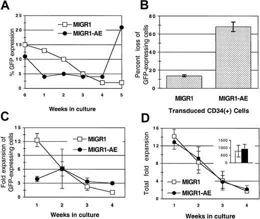 Fig. 2. Loss of AML1-ETO–expressing GFP+ cells from culture after transduction of human HPCs. / (A) Transduced HPCs grown in cytokine-driven culture were monitored for expression of GFP protein weekly for 5 weeks. Cells were cultured in complete media with cytokines, counted weekly, and replated at 1 × 105 cells per milliliter. A representative experiment is shown. (B) Decrease in GFP-expressing cells during the first week in cytokine-driven culture, shown as the percentage of loss in GFP-expressing cells (from 3 independent experiments). (C) Fold expansion of GFP-expressing cells over a 4-week period in cytokine-driven culture. (D) Total fold expansion of cells during the same time period shown in panel C. The inset in panel D represents the average total cumulative fold expansion. Cells were counted weekly by trypan blue dye exclusion, and the percentage of GFP expression was determined by flow cytometry. Results are the average of 2 independent experiments. MIGR1 represents cells transduced with the empty retroviral vector. MIGR1-AE represents cells transduced with the AML1-ETO–expressing retrovirus.
