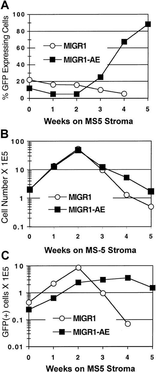 Fig. 4. AML1-ETO enhances expansion of primitive HPCs. / HPCs were transduced with the indicated virus, expanded for 6 days in cytokine-driven culture, and plated onto the MS-5 stromal cell line in triplicate flasks. Nonadherent cells were counted by trypan blue and analyzed weekly for GFP expression by flow cytometry. (A) Percentage of GFP-expressing cells over time. (B) Total number of nonadherent cells over time. (C) Total number of GFP+ cells during the 5-week stromal cell culture period. Three independent experiments yielded essentially the same results; a representative experiment is shown.