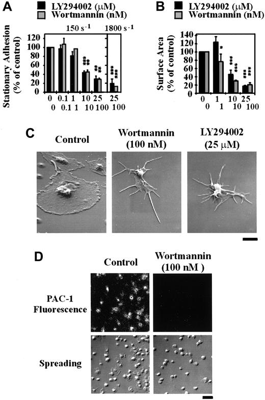 Fig. 5. The role of PI 3–kinase in regulating platelet adhesion, spreading, and integrin αIIbβ3activation under flow conditions. / Washed platelets (1.5 × 108/mL) were incubated with vehicle alone (control) or the indicated concentrations of LY294002 (0-25 μM) or wortmannin (0-100 nM) for 15 minutes. Pretreated platelets were either perfused immediately over immobilized VWF (100 μg/mL) at 150 s-1 or reconstituted with red blood cells prior to perfusion at 1800 s-1. In some experiments, tethered platelets were incubated with PAC-1 antibody prior to fixation and staining with a FITC-conjugated secondary antibody. These results demonstrate the effect of the PI 3–kinase inhibitors on (A) the level of stationary platelet adhesion and (B) the mean surface area of adherent platelets following perfusion at 150 s-1 or 1800 s-1; (C) the morphology of adherent platelets as visualized by scanning electron microscopy (bar = 2 μm); and (D) platelet spreading and PAC-1 binding (bar = 10 μm). (A,B) Results represent mean ± SEM from 4 independent experiments. Statistical analysis was performed using a t test comparing control versus LY294002- or wortmannin-treated platelets (P < .05*;P < .01**; P < .001***). (C,D) Images are from a single experiment representative of 3.