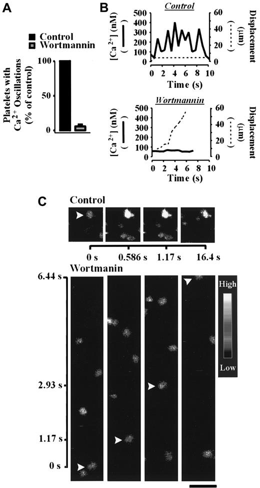 Fig. 6. The role of PI 3–kinase in regulating calcium mobilization under flow conditions. / Calcium indicator dye-loaded platelets were incubated with vehicle alone (control) or wortmannin (100 nM) for 15 minutes prior to reconstitution with red blood cells and perfusion over immobilized VWF (100 μg/mL) at 1800 s-1. Changes in the cytosolic calcium concentration of adherent cells were monitored by confocal microscopy (× 63W objective) and fluorescence ratios quantified. The results presented in panel A demonstrate the effect of wortmannin on the percentage of cells undergoing oscillatory calcium transients relative to untreated (control) platelets. The images and results presented in panels B and C show a representative calcium oscillation response (solid line) and the displacement (dotted line) of individual vehicle- (control) and wortmannin-treated platelets under shear conditions. Results and images are from a single experiment representative of 3. Bar = 10 μm.
