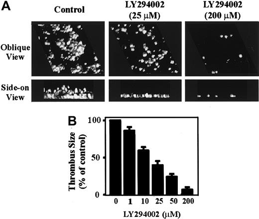 Fig. 7. The role of PI 3–kinase in regulating platelet thrombus formation under flow conditions. / Anticoagulated whole blood was incubated with vehicle alone (control) or the indicated concentrations of LY294002 (0-200 μM) for 15 minutes prior to perfusion over immobilized VWF (100 μg/mL) at 1800 s-1. In panel A, thrombi were fixed and incubated with DiOC6. Platelet thrombi were reconstructed using a computer-assisted image analysis program. The upper panels represent an oblique view to demonstrate surface coverage; the lower panels represent a side-on view to demonstrate differences in thrombus height. The results in panel B demonstrate the effect of PI 3–kinase inhibition on thrombus formation.
