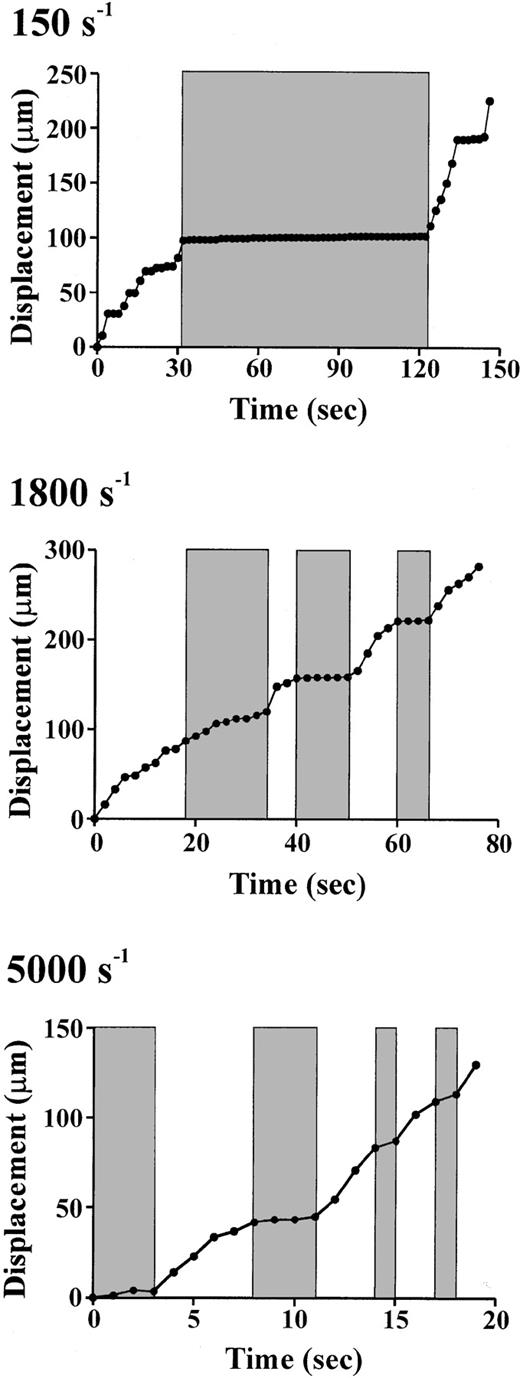 Fig. 7. Role of tether formation in regulating the dynamics of platelet translocation. / Membrane tether dynamics regulate the stop-start pattern of platelet translocation at low (150 s−1), intermediate (1800 s−1), and high (5000 s−1) shear rates. Real-time analysis of the displacement (μm) of the cell centroid demonstrates that the formation of membrane tethers (shaded regions) results in a distinct pause in platelet translocation (stop phase), whereas release of tethers is associated with platelet translocation in the direction of flow (start phase) (unshaded regions). Note that each shaded bar at 1800 s−1 and 5000 s−1represents the formation of a new membrane tether.