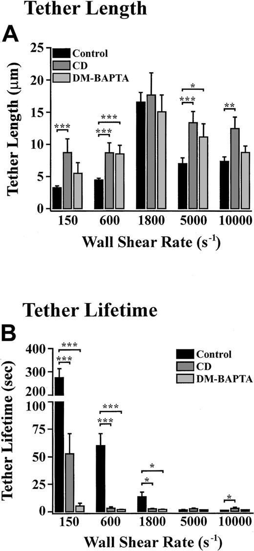 Fig. 9. Role of cytoskeletal reorganization and intracellular calcium in regulating tether dynamics. / Platelets were pretreated with vehicle alone (control), cytochalasin D (CD) (5 μM), or DM-BAPTA (70 μM) prior to perfusion through VWF-coated microcapillary tubes at 150 s−1 for 5 seconds. The wall shear rate was either maintained at 150 s−1 or increased to 600 s−1, 1800 s−1, 5000 s−1, or 10 000 s−1. Translocating platelets from 10 random fields were video-recorded for analysis of tether length (A) and lifetime (B). These results are from 3 independent experiments (P < .1; P < .05;P < .001).