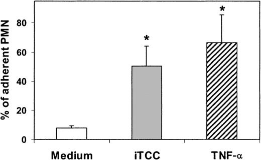 Fig. 4. Effect of iTCC and TNF-α on PMN adhesion to HUVECs. / EC monolayers were pretreated for 4 hours with medium alone or medium containing either iTCC (5 nM) or TNF-α (200 U/mL). PMNs were then added to the monolayer, and the percentage of adherent PMNs was determined after an incubation of 30 minutes at 37°C. Values are mean ± SD of triplicate determinations of 3 separate experiments. *P < .01 versus control.