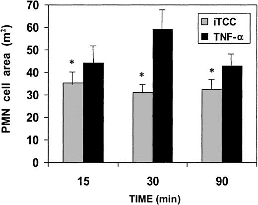 Fig. 6. Evaluation of morphologic changes of PMNs adherent to iTCC or TNF-α–stimulated HUVECs. / (See legend to Figure 5.) The surface areas of at least 100 PMNs were measured at different time intervals. Values are means ± SD of 3 experiments. *P < .01 versus TNF-α–stimulated HUVECs.