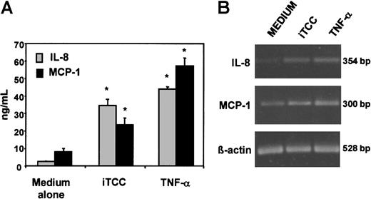 Fig. 8. Production of IL-8 and MCP-1 by HUVECs exposed to iTCC. / (A) Levels of chemokines secreted by HUVECs in the culture supernatant after an overnight incubation with iTCC (5 nM), TNF-α (20 U/mL) or medium alone measured by ELISA. Values are means ± SD of triplicate determinations of 3 separate experiments. *P < .01 versus control. (B) Reverse transcription-PCR of IL-8 and MCP-1 mRNA expression of HUVECs unstimulated or treated with iTCC (5 nM) or TNF-α (200 U/mL).