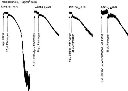 Fig. 6. Effect of P2 receptor antagonists on LIBS6-induced thromboxane A2 generation. / Platelets were activated with Fab fragments of the LIBS6 antibody (1.5 μM) at 37°C with stirring for 5 minutes. P2 receptor subtype–selective antagonist (1 μM AR-C67085 or 1 mM A2P5P) was added, as indicated, just prior to the addition of fibrinogen (3 μM), and stirring was continued for an additional 3 minutes. The reaction was stopped by snap-freezing, and thromboxane B2 was measured as described in Figure 1. The data were normalized to thromboxane B2 generated by LIBS6 and fibrinogen, taken as 100%. The results were from 2 independent experiments performed in duplicate.