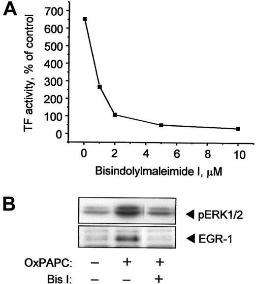 Fig. 6. OxPAPC-induced TF activity, ERK1/2 phosphorylation, and EGR-1 expression are PKC dependent. / (A) HUVECs were preincubated for 30 minutes with indicated concentrations of the PKC inhibitor Bis I and then stimulated with 120 μg/mL OxPAPC in the presence of the inhibitor for 6 hours. TF activity was determined by clotting assay. (B) HUVECs were treated with 125 μg/mL OxPAPC in the presence of 10 μM Bis I and after 15 minutes (ERK1/2) or 1 hour (EGR-1) harvested and analyzed by Western blotting with antibodies to phospho-ERK1/2 or EGR-1. Similar results were obtained in 2 additional experiments.