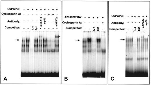 Fig. 8. OxPAPC induces NFAT/DNA-binding complexes. / Nuclear extracts from HUVECs stimulated for 40 minutes with OxPAPC (125 μg/mL) or A23187/PMA (2 μM and 10−7 M, respectively) were incubated with 32P-labeled NFAT probe of the murine IL-4 (A,B) or human TF (C) promoters and then separated by gel electrophoresis. Where indicated, cells were preincubated for 30 minutes with 500 ng/mL cyclosporin A before addition of OxPAPC or A23187/PMA. The mobility of the specific OxPAPC-induced/cyclosporin A–sensitive complex is indicated by an arrow. Supershifted band is labeled with an asterisk. The results are representative of 4 independent experiments.