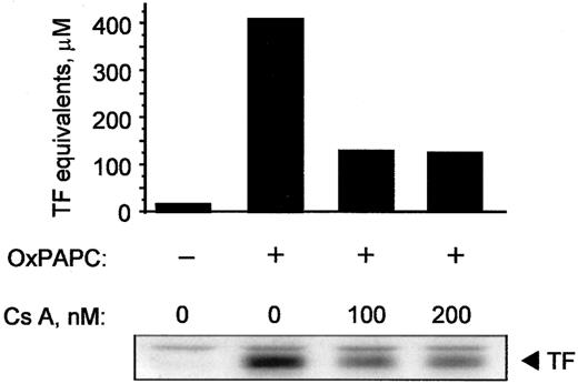 Fig. 9. Cyclosporin inhibits induction of TF activity and protein by OxPAPC. / HUVECs were pretreated with indicated concentrations of cyclosporin A for 20 minutes and then stimulated for 6 hours with 125 μg/mL OxPAPC in the presence of the inhibitor. Cells were scraped off and analyzed by clotting assay or Western blotting using antibodies to TF. Similar results were obtained in 2 additional experiments.