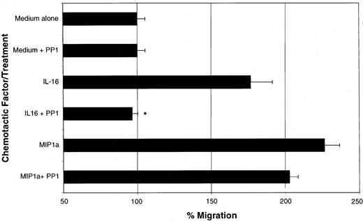 Fig. 3. Effect of the Src-family kinase inhibitor PP1 on migration of CD8+ T cells. / CD8+ T cells were costimulated for 3 days, stained with Calcein-AM, and left untreated or treated with 5 μM PP1. At this time, 32% of cells expressed CD4. Results are the percentage of cells migrating in response to IL-16 or MIP1α compared with medium-only (no inhibitor) controls. Asterisks indicate samples with levels of migration to the designated chemotactic factor after treatment with PP1 that were significantly different from levels of samples treated with the same chemotactic factor alone (P < .05).