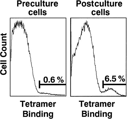 Fig. 1. Phenotypic analyses of preculture and postculture cells from donor 01. / Cells were dual-stained with PE Cy5–conjugated anti-CD8 mAb and PE-conjugated HCMV pp65–specific HLA-B*0702 tetrameric complexes. The single parameter histograms are gated onto the CD8+ cell population and demonstrate an increase in the population of cells binding the tetrameric complexes over the period of culture.