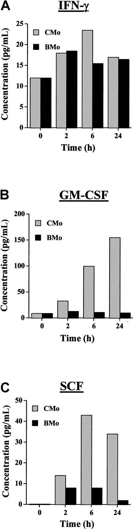 Fig. 4. Cytokine production from TF-1 cells incubated with CMo or BMo HTLV-2 strains. / (A) IFN-γ. (B) GM-CSF. (C) SCF production measured by ELISA in culture supernatants of TF-1 cells at time 0 (cells starved of IL-3 for 24 hours) or exposed for 2, 6, or 24 hours to either CMo (gray bars) or BMo (black bars). Estimated values of the cytokine content in the culture supernatants were the result of cytokine accumulation after 2, 6, and 24 hours after the addition of the viruses.