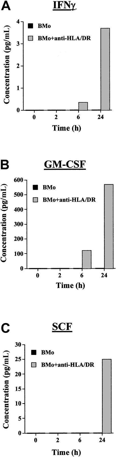 Fig. 8. Cytokine production from TF-1 cells incubated with BMo or anti–HLA-DR mAb-pretreated BMo HTLV-2 strains. / IFN-γ (A) GM-CSF, (B) SCF, and (C) production were measured by ELISA in culture supernatants of TF-1 cells at time 0 or were exposed for 2, 6, or 24 hours to BMo (black bars) or BMo pretreated with anti–HLA-DR–specific mAbs D1.12 (gray bars).