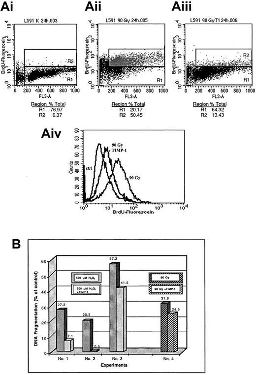 Fig. 8. Effect of rhTIMP-1 on survival of Hodgkin-derived cell line L591. / Effect of rhTIMP-1 on survival of the Hodgkin-derived cell line L591 after exposure to radiation (A,B) or H2O2 (B) as measured by detection of specific chromatin degradation by either nick-end labeling with dUTP and anti-BRDU and FACS analysis (A) or detection of tritium-thymidine–labeled DNA fragments in the supernatant and cytoplasm of apoptotic cells (B). (A) Shown are control conditions (i) compared with radiation conditions (ii) and rhTIMP-1 plus radiation conditions (iii). R1 indicates viable cells; and R2, apoptotic cells. Panel Aiv shows the results of an identical experiment in histogram form. (B) DNA fragmentation expressed as a percentage of values for controls in the absence of rhTIMP-1 and with use of H2O2 (left; 3 different experiments) or radiation (right) to induce apoptosis and cell death.