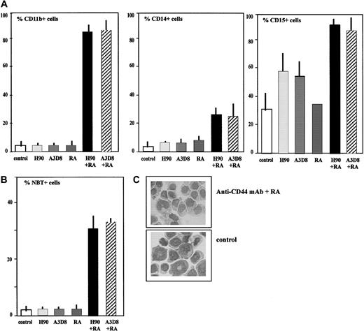 Fig. 5. Combined treatment with anti-CD44 mAbs (H90 or A3D8) and RA induces the differentiation of KG1a cells. / (A) Increased expression of lineage differentiation antigens. Cells were labeled in triplicate with FITC-conjugated mAbs directed to CD15 and CD11b. The percentage of CD11b+ and CD15+cells was determined by flow cytometry relative to isotypic controls. (B) Induction of NBT-reducing ability. Data are the percentage of NBT+ cells. They are mean values ± 1 SD of triplicate samples from a representative of 3 experiments. (C) May-Grünwald Giemsa–stained cytosmears of KG1a cells. Cells were treated for 6 days with H90 (20 μg/mL) plus RA (10−7 M/L) or J173 (controls). Control cells showed an immature myeloblastic phenotype: high nucleus-cytoplasmic ratio and numerous nucleoli. Treated cells showed a decrease in nucleus-cytoplasmic ratio, chromatin condensation, and a pale cytoplasm with irregular contours, all typical of maturing monocytes. Cells treated with A3D8 (2.5 μg/mL) and RA displayed similar features. Magnification: × 630.