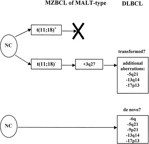 Fig. 6. Two pathways of gastric MZBCL of MALT-type development from normal cells (NC). / The first one is characterized by the t(11;18); peculiarly, these lymphomas only rarely accumulate additional genetic aberrations and do not seem to transform into DLBCL. On the other side, the t(11;18)-negative tumors acquire various genetic aberrations exemplified by the 3q26.2-27 amplification, and some of them may eventually transform into high-grade DLBCL (listed are some of the most common additional aberrations). The 6q aberration displaying cases might be primary DLBCL.