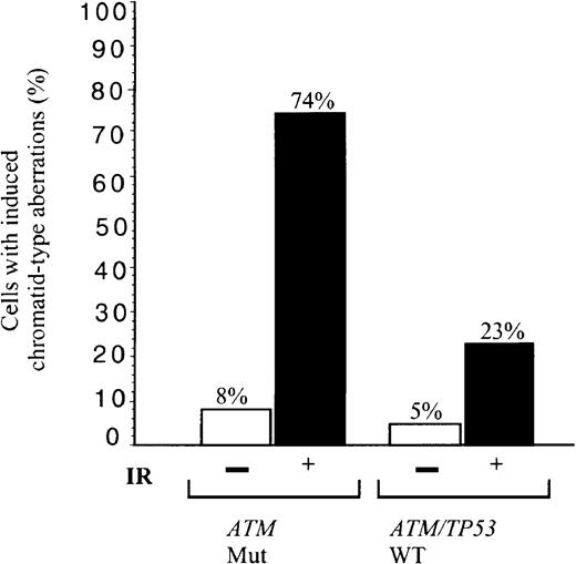 Fig. 5. Defect in repair of IR-induced chromosome damage in. / ATM mutant B-CLLs. Percentage of cells showing induced chromatid type aberrations (gaps, breaks, and interchanges) in G2 at 4 hours following exposure to 1 Gy x-rays in B-CLL tumors 1, 33, and 39 (n = 100), with mutant ATM, and in B-CLLs 51 and 56 with wild-type ATM/TP53 (n = 60). The proportion of unirradiated cells with damage is also indicated with n = 65 and 55, respectively.