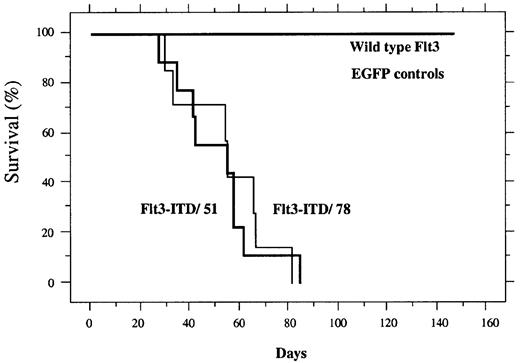 Fig. 3. Kaplan Meier plot of survival. / Mice receiving transplants of bone marrow transduced with wild-type FLT3 (n = 8), EGFP (n = 4), FLT3-ITD/51 (n = 9), or FLT3-ITD/78 (n = 8). The percentage of surviving mice (y-axis) is plotted with respect to time in days (x-axis).