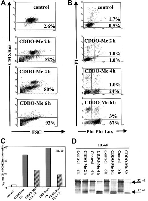 Fig. 4. CDDO-Me–induced decrease in the mitochondrial membrane potential and caspase activation in U937 cells. / Cells were assayed for apoptosis after 2, 4, and 6 hours of treatment with 1 μM CDDO-Me. (A) CMXRos assay (y-axis) to evaluate the reduction in the mitochondrial membrane potential. Cells expressing CMXRos below the threshold level were considered apoptotic. (C) Partial inhibition of CDDO-Me–induced loss of mitochondrial membrane potential by CyA. HL-60 cells were pretreated with the pharmacologic inhibitor of permeability transition CyA (10 μM) followed by CDDO-Me (1 μM) exposure for 2 or 4 hours. Loss of the mitochondrial membrane potential (ψm) was measured by CMXRos staining. No effect was observed from CyA alone (not shown). (D) HL-60 cells were exposed to 1 μM CDDO-Me for 2, 4, 6, and 8 hours. Caspase-3 cleavage was studied by Western blot analysis using antibody to caspase-3 (pro–caspase-3 at 32 kd and cleaved caspase-3 at 17 kd). (B) Activated caspase-3 (x-axis), as measured by conversion of Phi-Phi-Lux, and PI (y-axis). Cells showing a high conversion of Phi-Phi-Lux are considered apoptotic.