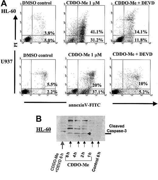 Fig. 5. Caspase-3 inhibitor Z-DEVD-fmk blocks CDDO-Me–induced annexin V positivity and caspase-3 cleavage in leukemic cells. / (A) Evidence of apoptosis was identified by staining with annexin V (x-axis) and PI (y-axis) after 6 hours of 1 μM CDDO-Me treatment. DMSO, which was used as a solvent, was used as the control treatment. Cells binding annexin V and retaining PI were apoptotic (lower right quadrant); double-positive cells underwent secondary necrosis (upper right quadrant). In panel 3, U937 and HL-60 cells were pretreated with 25 μM Z-DEVD-fmk (a caspase-3 inhibitor) for 1 hour followed by 6 hours of exposure to CDDO-Me (1 μM). (B) Western blot analysis shows the appearance of the cleaved caspase-3 band at 2, 4, and 6 hours of CDDO-Me exposure (detected with antibody that recognizes only cleaved caspase-3, IDUN) and absence of the cleaved product in DEVD-pretreated cells.